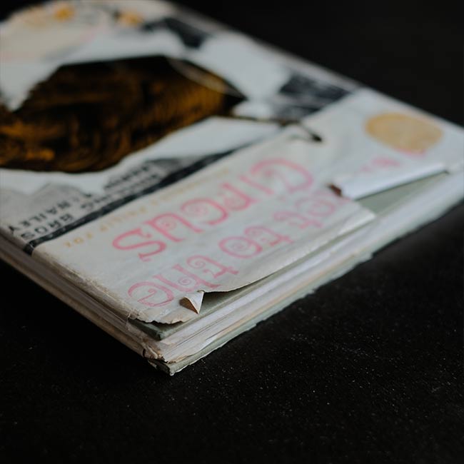 A Ticket to the Circus