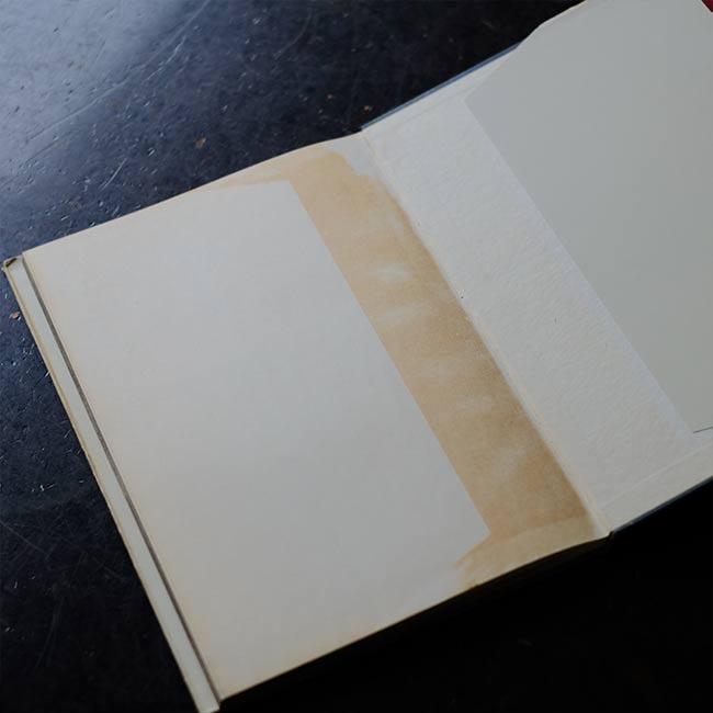 Asahi Shimbun Photographic Masterpieces 1956
