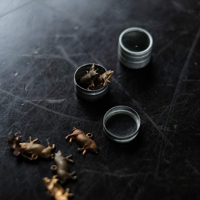 Watch parts storage case φ1.8cm