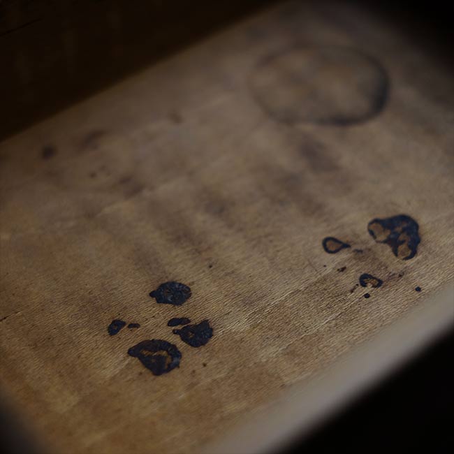 Wooden box with unusual fasteners