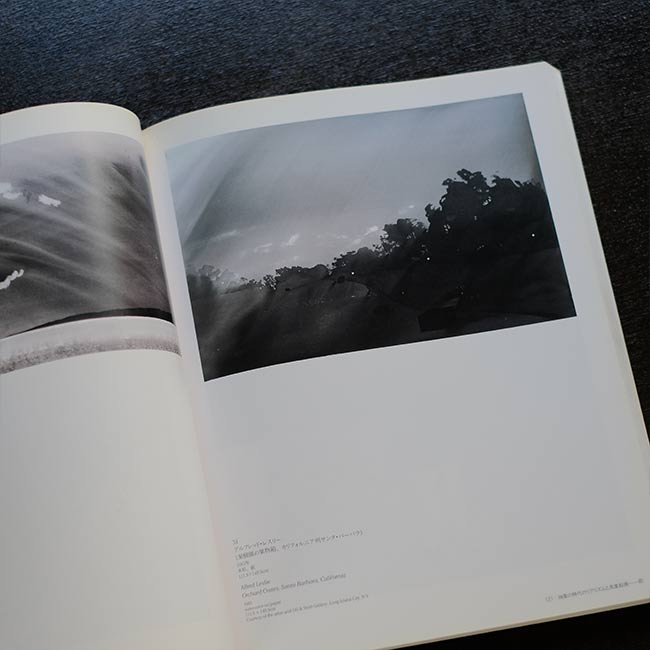 AMERICAN REALISM & FIGURATIVE ART:1952-1990