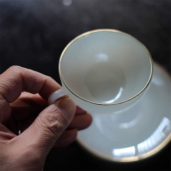 ARCOPAL cup and saucer