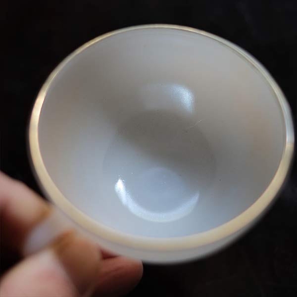 ARCOPAL cup and saucer