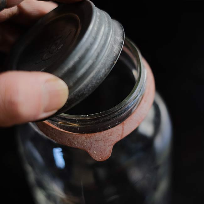 Ball Jar Rubbers(箱付きセット)