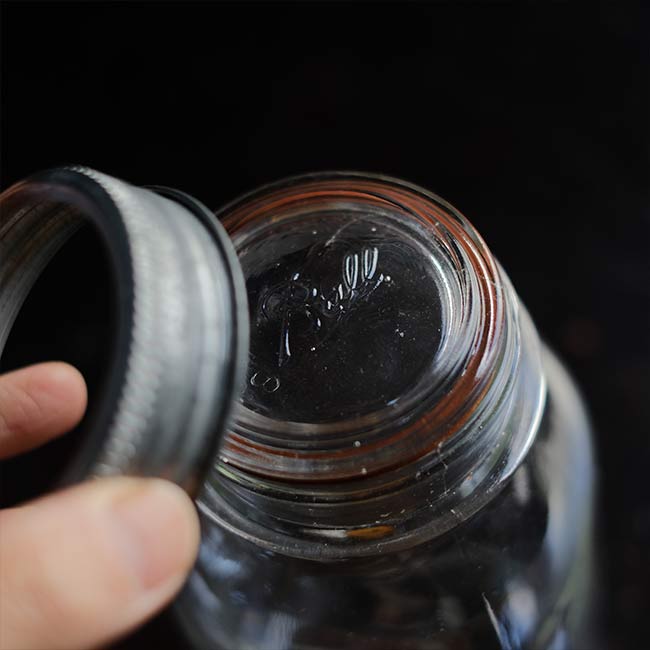 Ball Glass Top Closures(替え蓋 / レギュラーマウス)