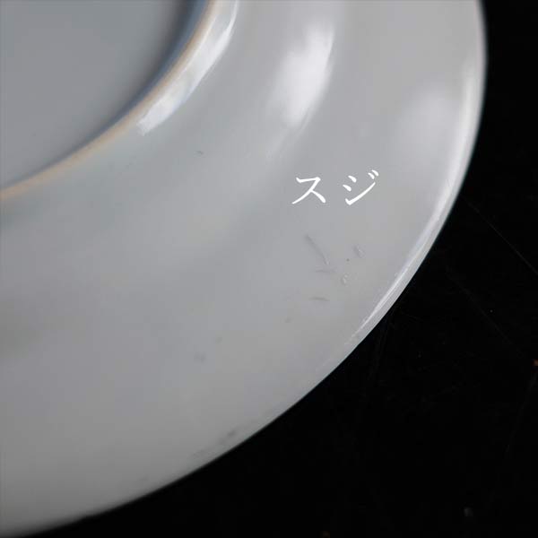 Blue line medium plate φ21cm