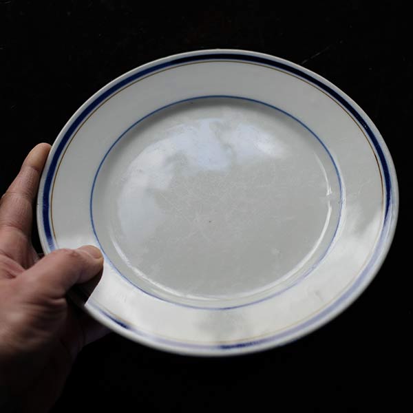 Blue line medium plate φ21cm
