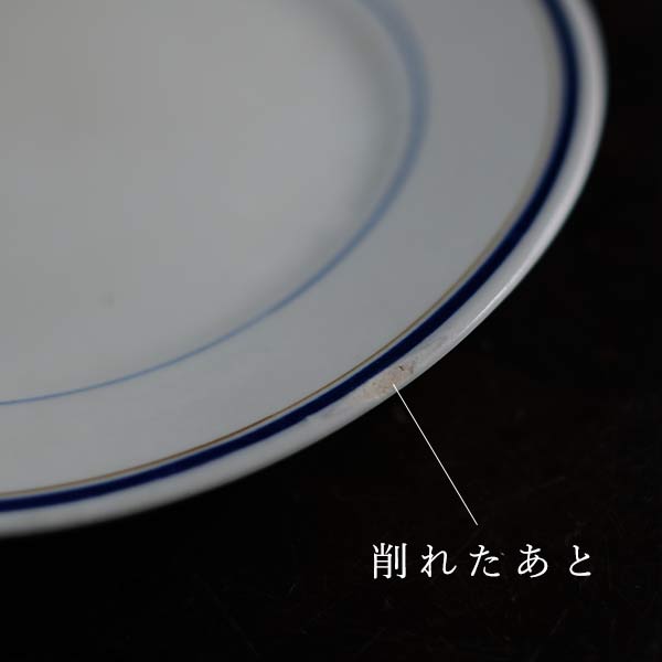 Blue line medium plate φ21cm