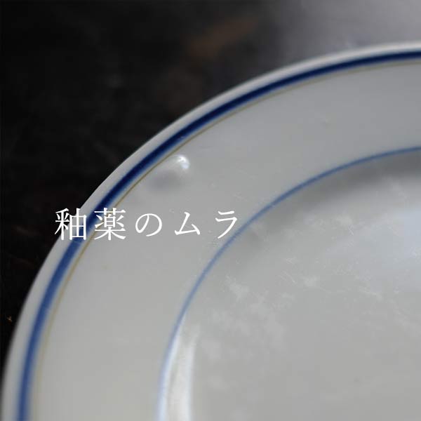 Blue line medium plate φ21cm