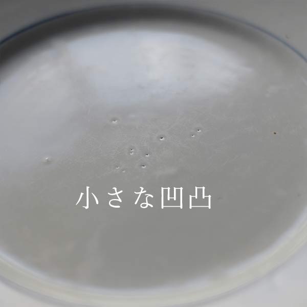 Blue line medium plate φ21cm