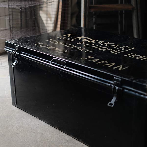 Transport trunk