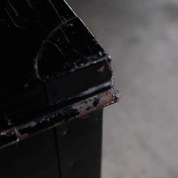 Transport trunk