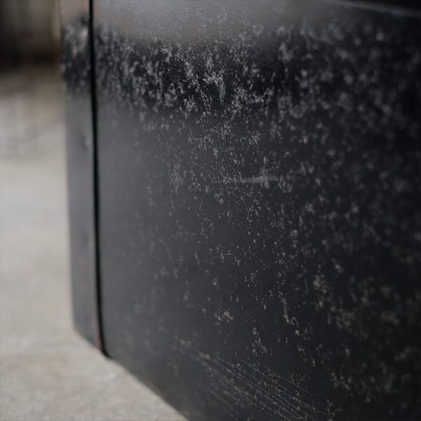 Transport trunk