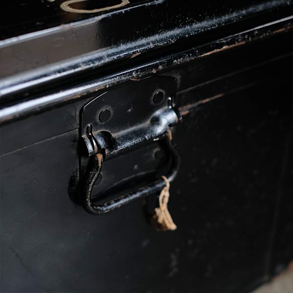 Transport trunk