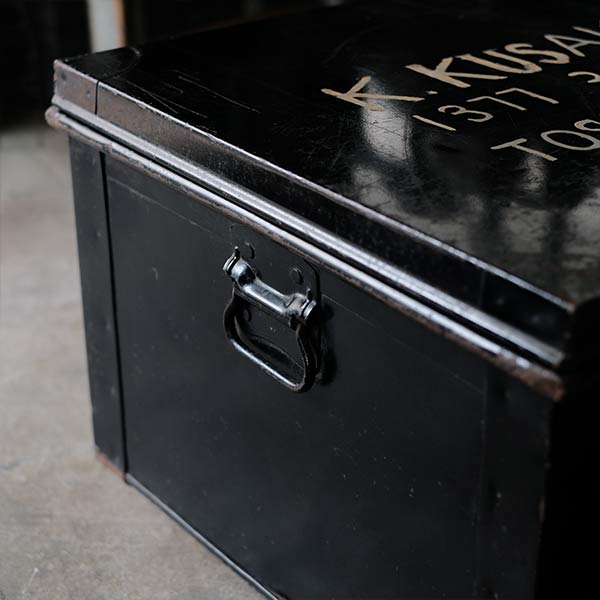 Transport trunk