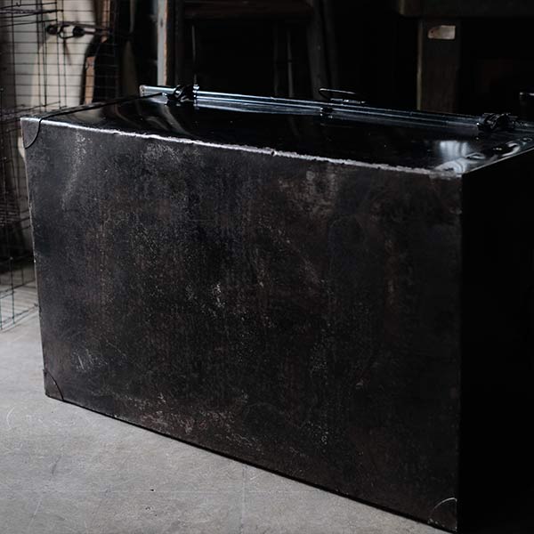 Transport trunk
