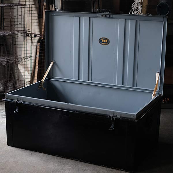 Transport trunk