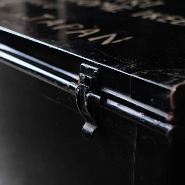 Transport trunk