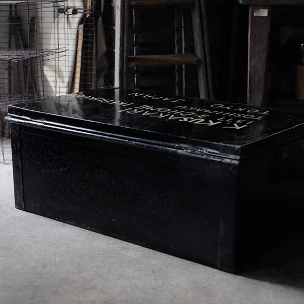 Transport trunk