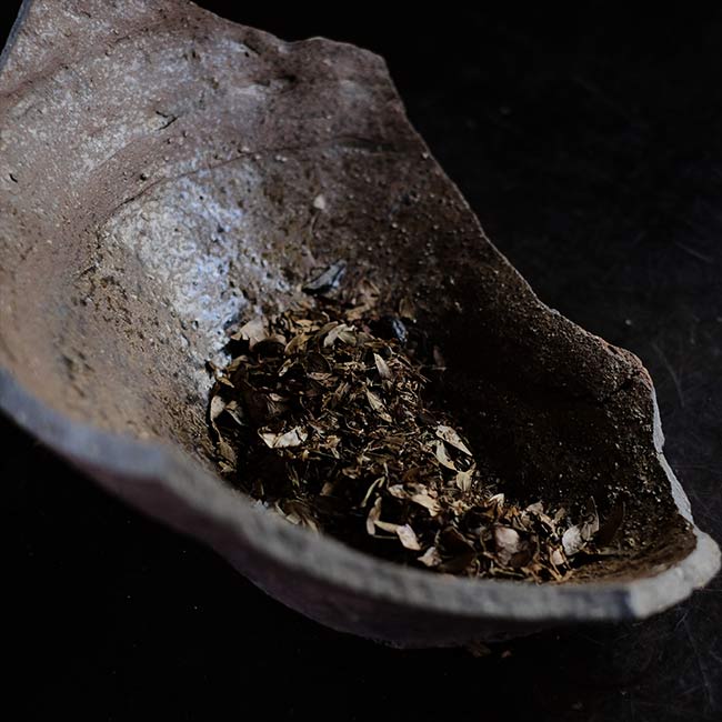 the bottom of a broken pot