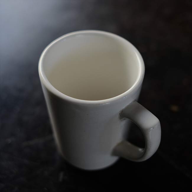 Buffalo Mug