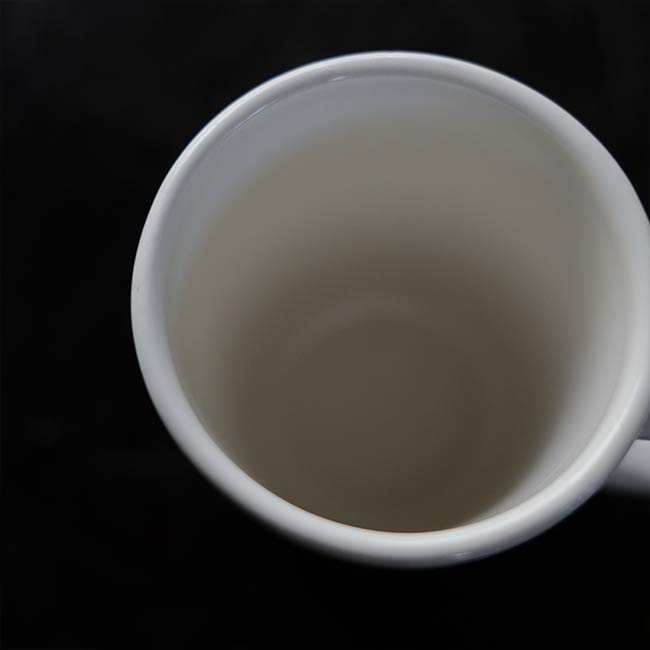 Buffalo Mug