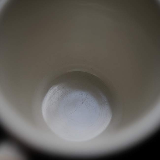 Buffalo Mug