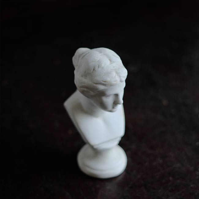Venus de Milo bust