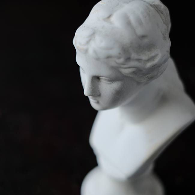Venus de Milo bust