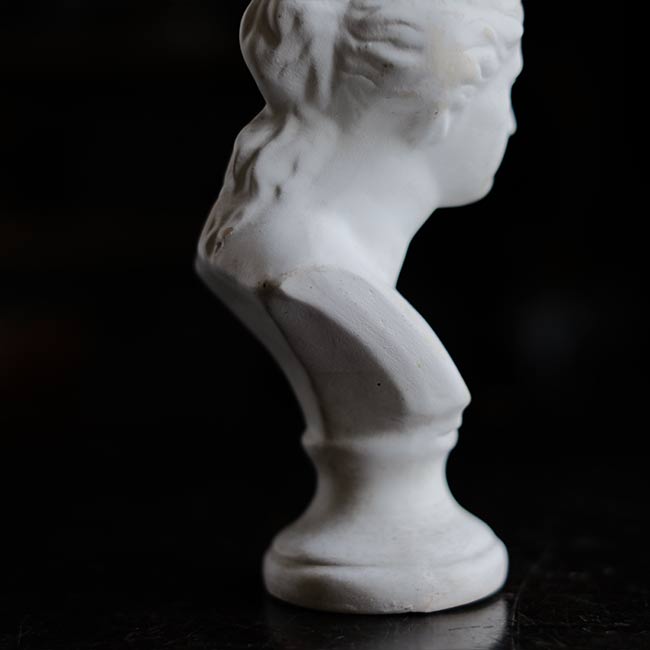 Venus de Milo bust
