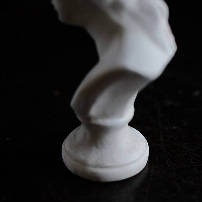 Venus de Milo bust