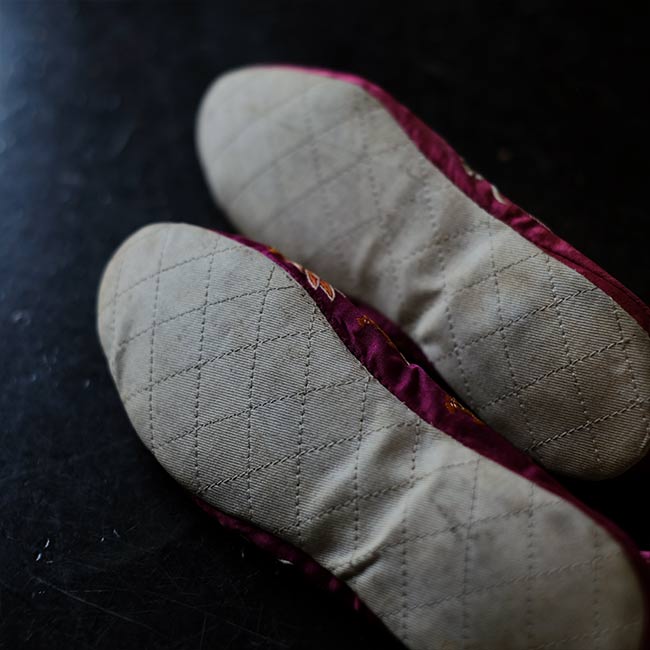 Embroidered children's shoes