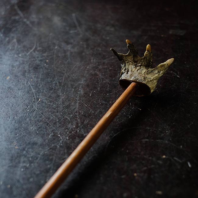 Crocodile Backscratcher