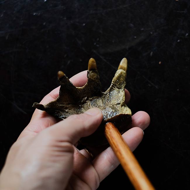 Crocodile Backscratcher