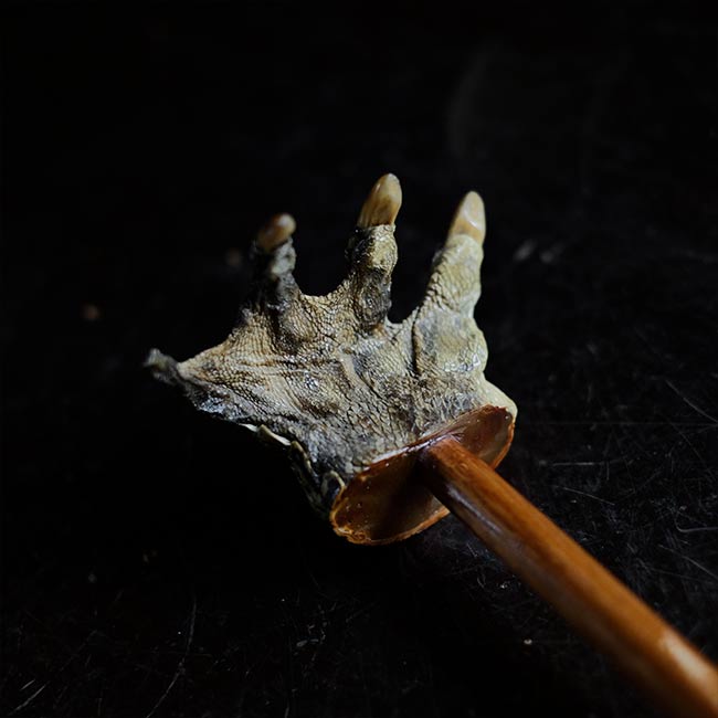 Crocodile Backscratcher
