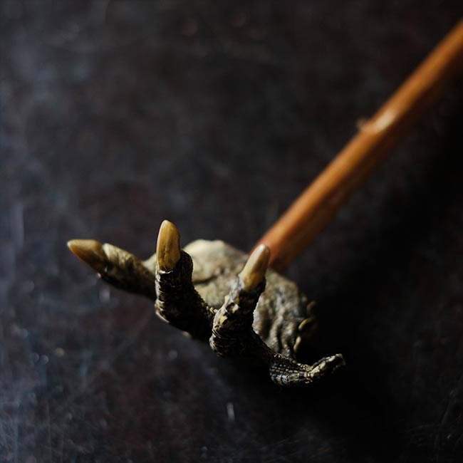 Crocodile Backscratcher