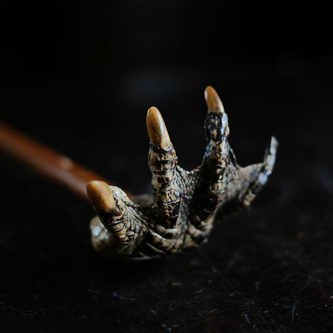 Crocodile Backscratcher