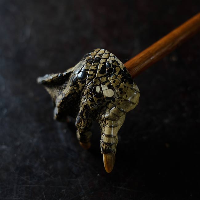 Crocodile Backscratcher