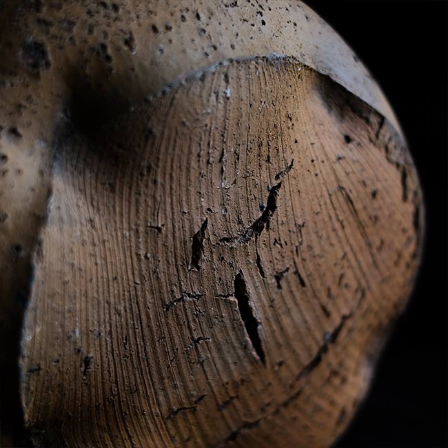 Crushed Vase