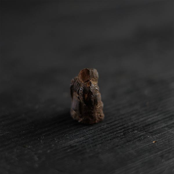 Small Ebisu