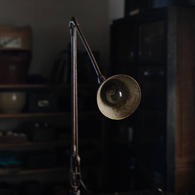 DAZOR Arm Lamp