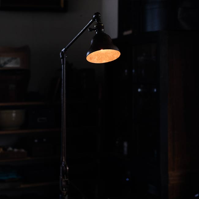 DAZOR Arm Lamp