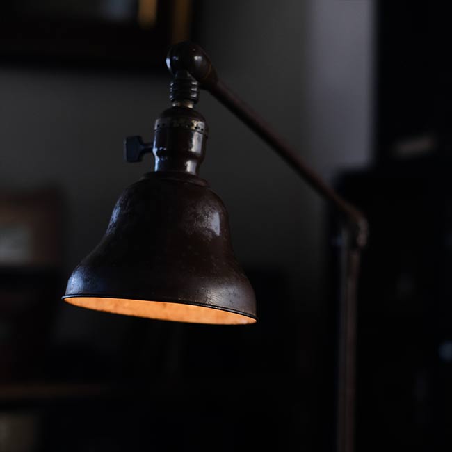 DAZOR Arm Lamp