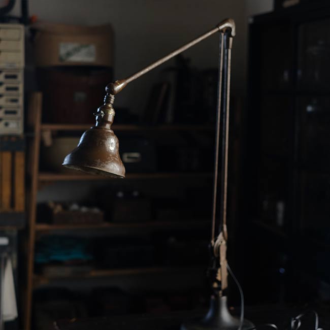DAZOR Arm Lamp