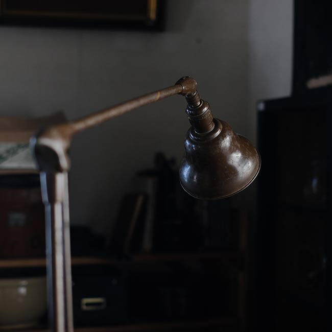 DAZOR Arm Lamp