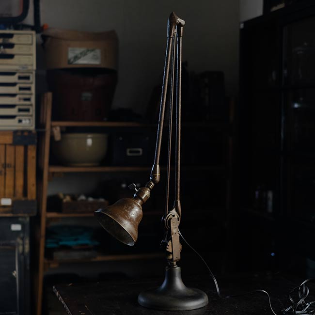 DAZOR Arm Lamp