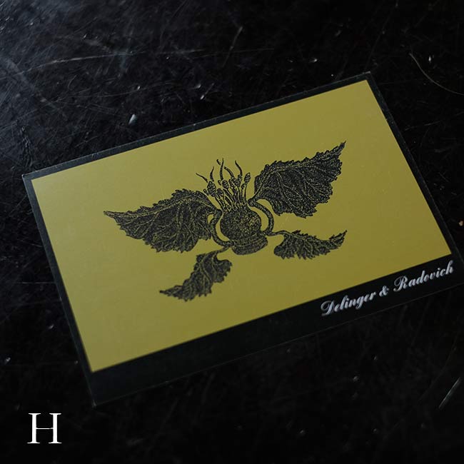 植物画のポストカード