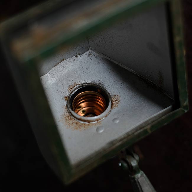 Developing stand light
