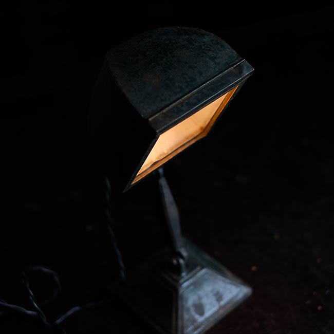 Developing stand light