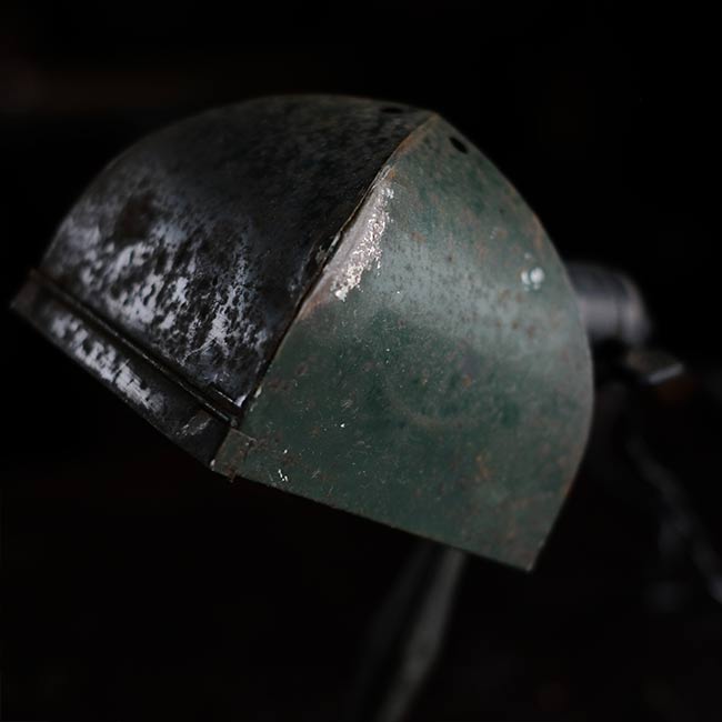Developing stand light